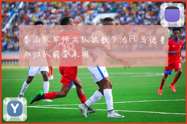 泰山队军师离队执教今治FC马德鲁加归队前景未明