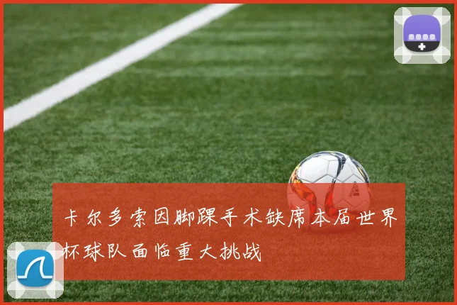 卡尔多索因脚踝手术缺席本届世界杯球队面临重大挑战